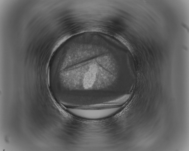 X0000096471127200802211143