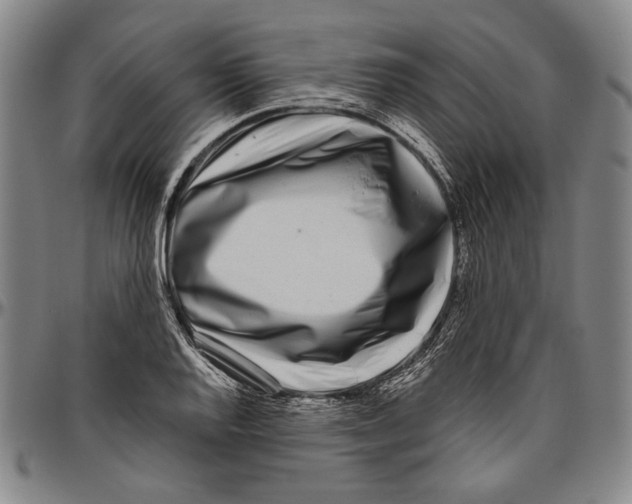 X0000096471128200802211143