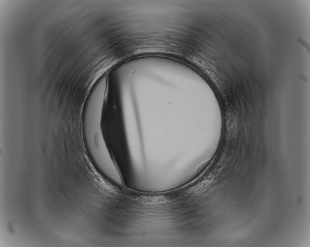 X0000096471129200802211143