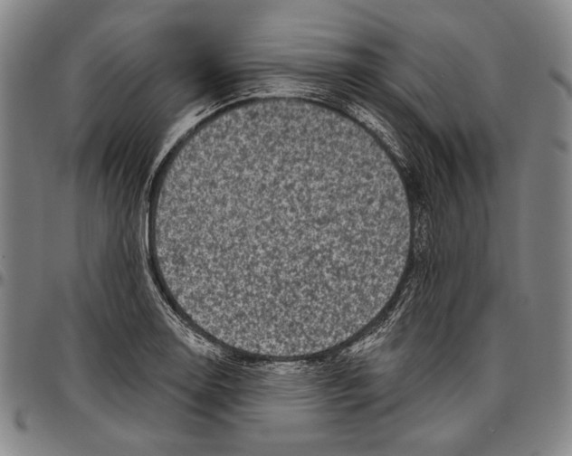 X0000096471130200802211143