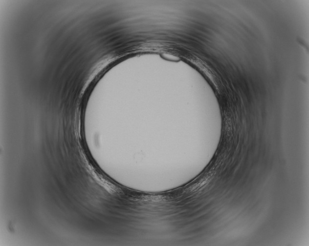 X0000096471131200802211143