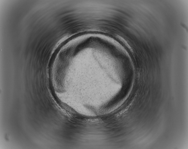 X0000096471133200802211144