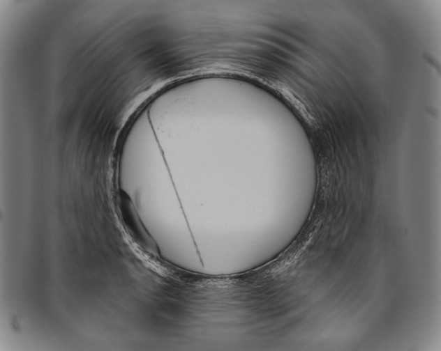 X0000096471134200802211144