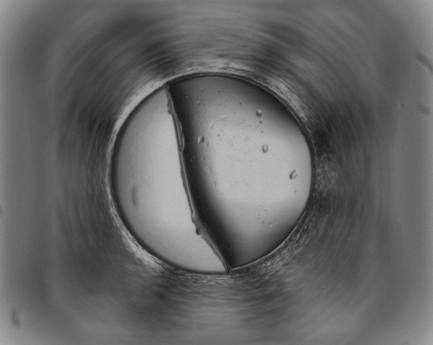 X0000096471136200802211144