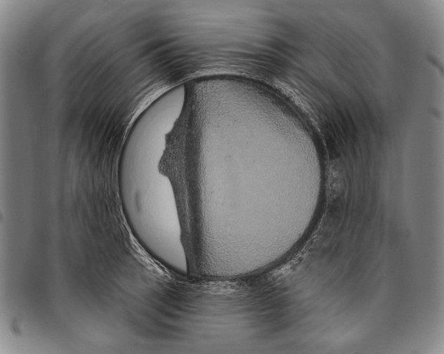 X0000096471137200802211144