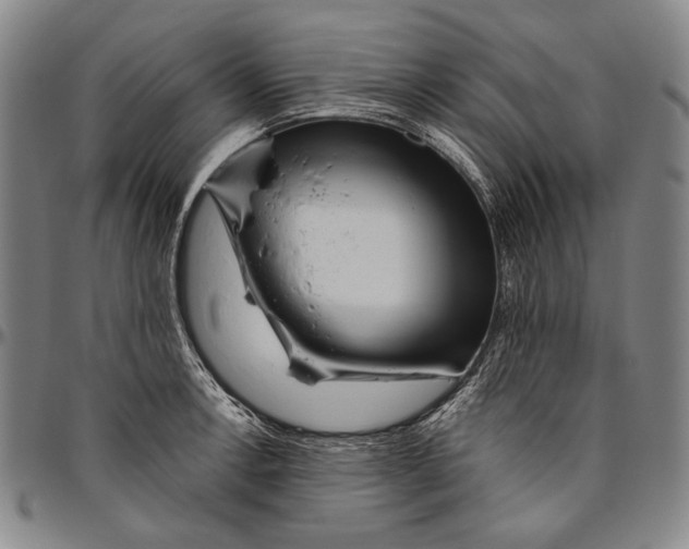 X0000096471138200802211144