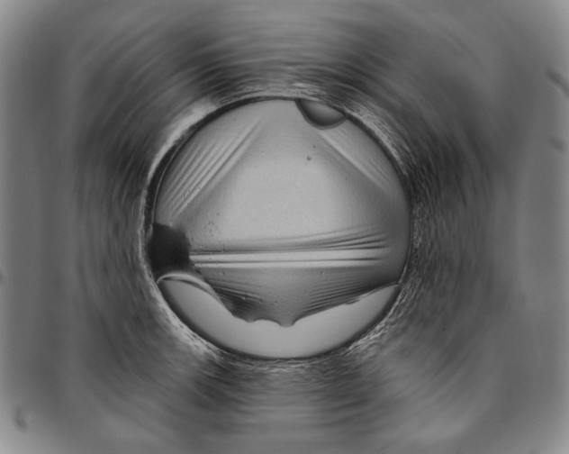 X0000096471139200802211144