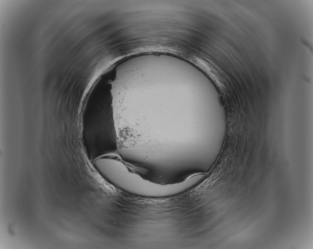 X0000096471140200802211144