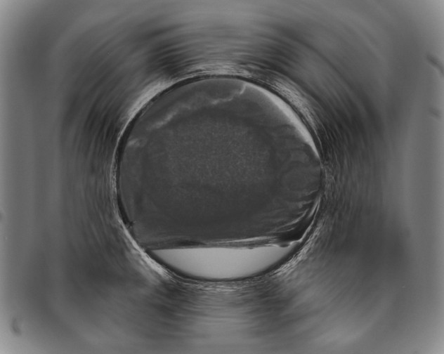 X0000096471141200802211144