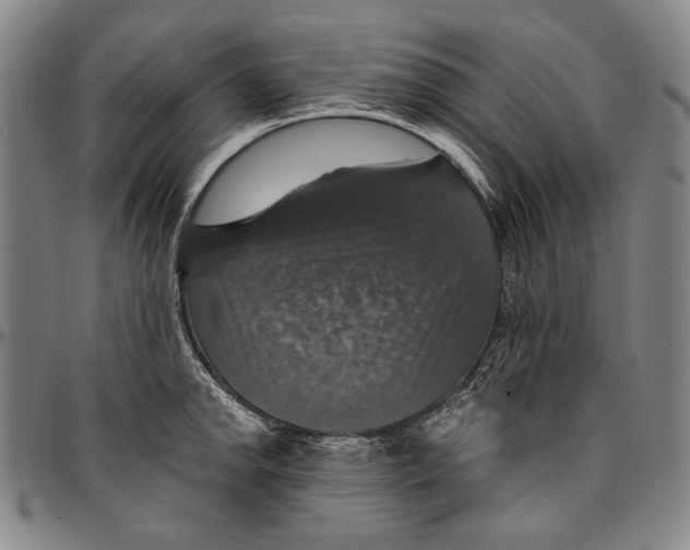 X0000096471142200802211144