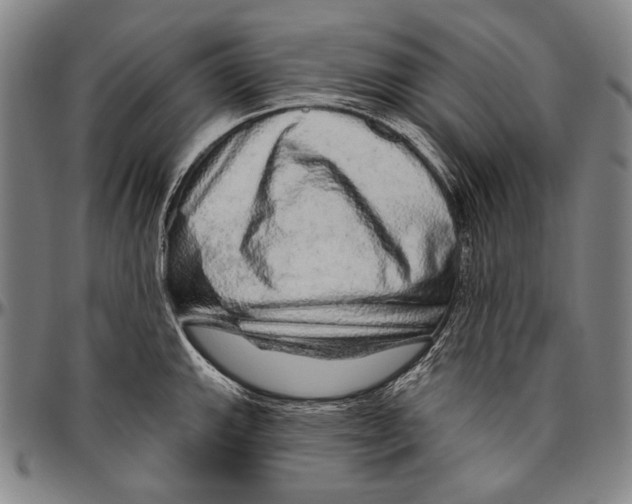 X0000096471143200802211144