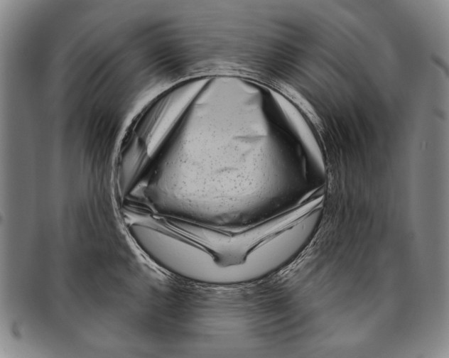 X0000096471144200802211144