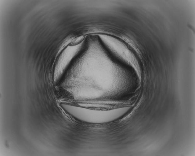 X0000096471145200802211144