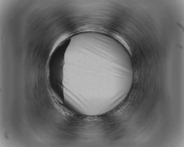 X0000096471146200802211144