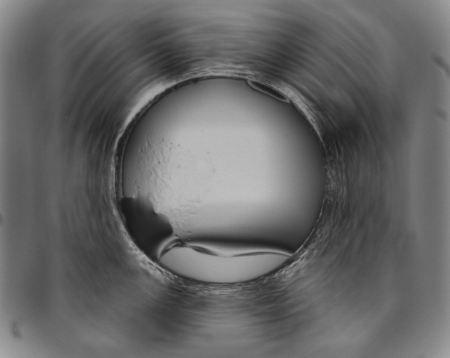 X0000096471147200802211144