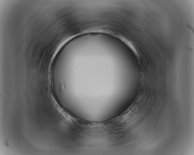 X0000096471148200802211144