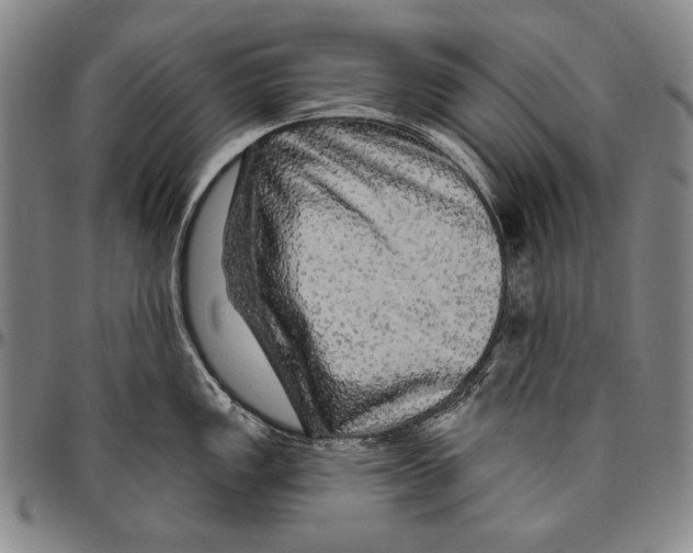 X0000096471149200802211144