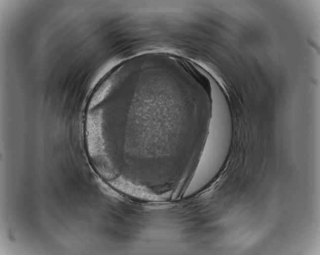 X0000096471151200802211144