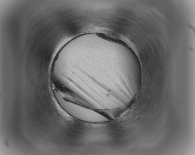 X0000096471152200802211144