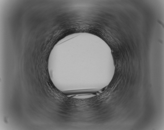 X0000096471153200802211143