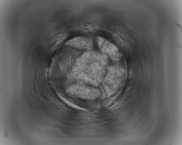 X0000096471156200802211143