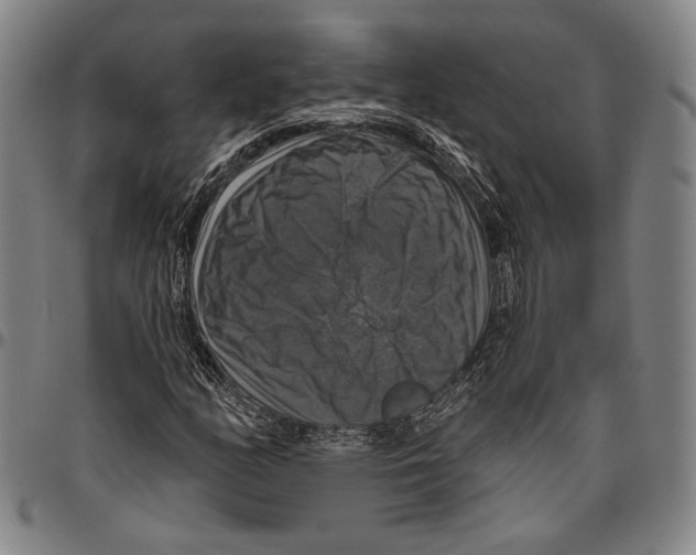 X0000096471158200802211143