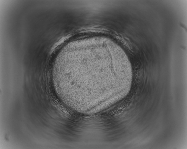 X0000096471159200802211143