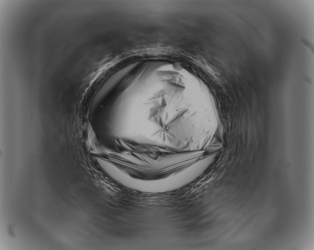 X0000096471160200802211143