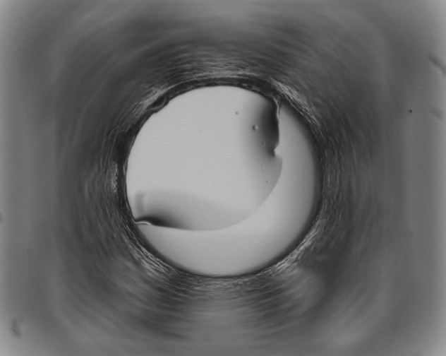 X0000096471161200802211143