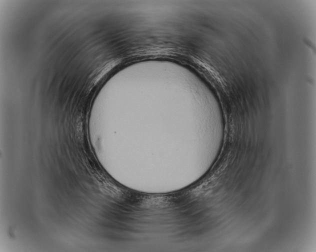 X0000096471162200802211143