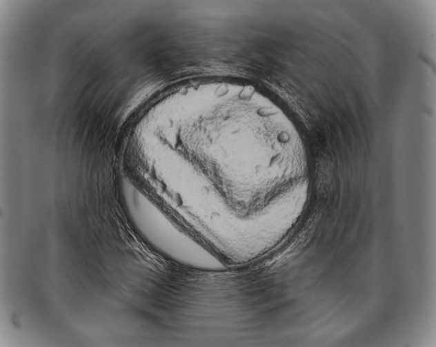 X0000096471163200802211143