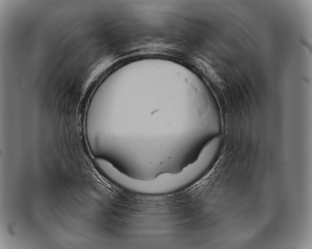 X0000096471164200802211143