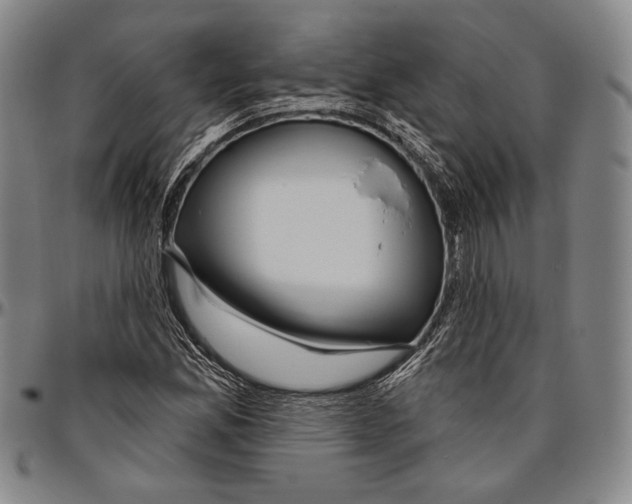 X0000096471165200802211143