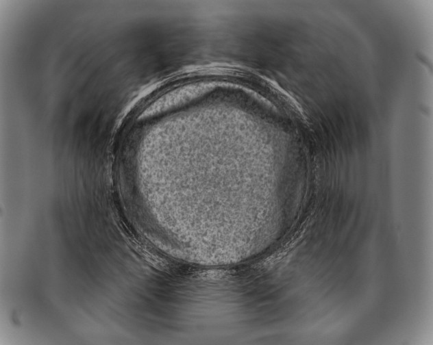 X0000096471166200802211143