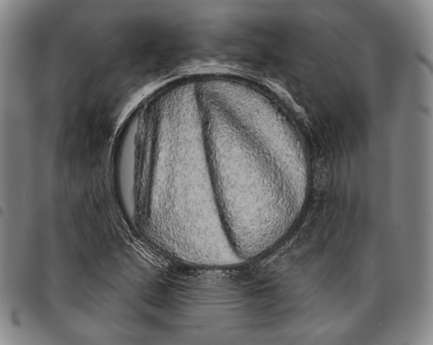 X0000096471167200802211143