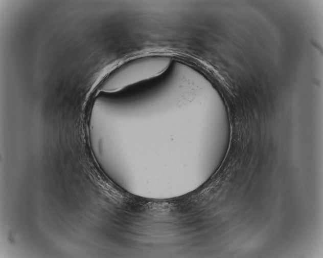 X0000096471168200802211143