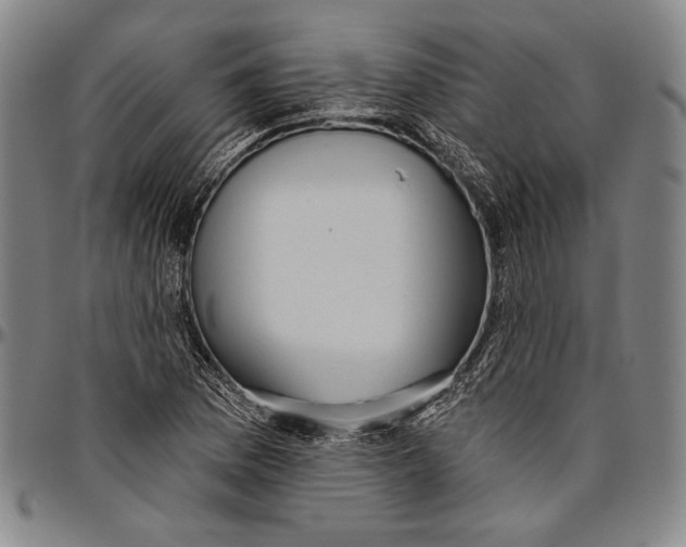 X0000096471169200802211143