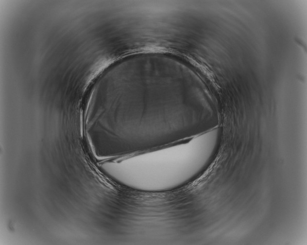 X0000096471171200802211143