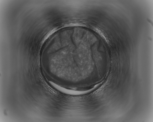 X0000096471173200802211143