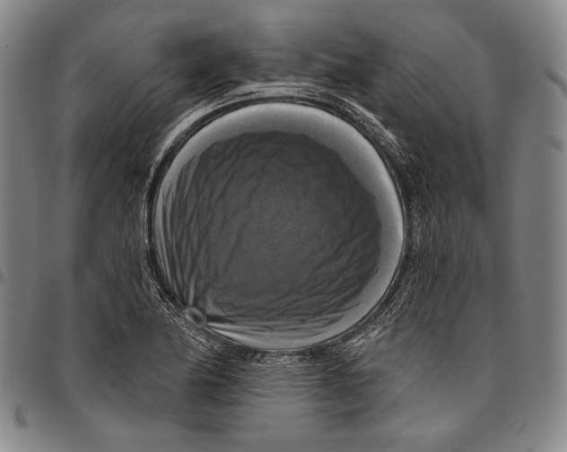 X0000096471174200802211143