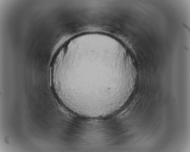 X0000096471175200802211143