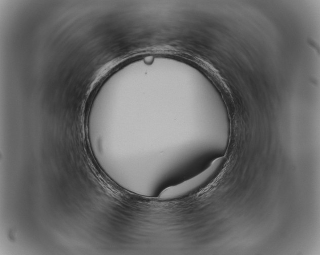 X0000096471176200802211143