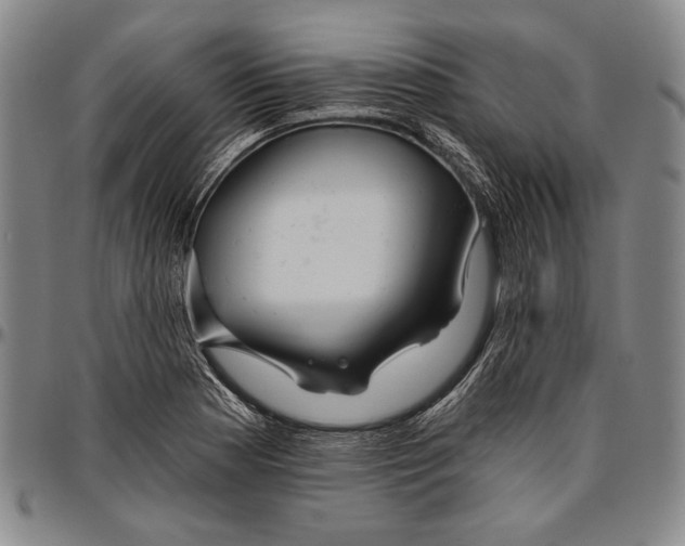 X0000096471177200802211143