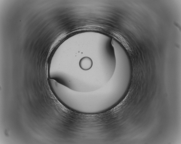 X0000096471180200802211143