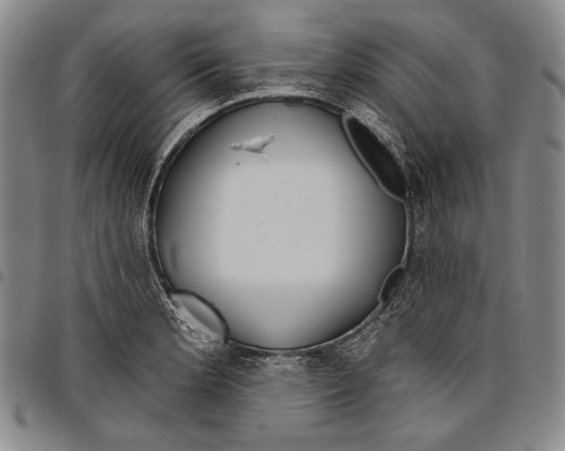 X0000096471181200802211143