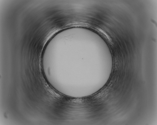 X0000096471182200802211143