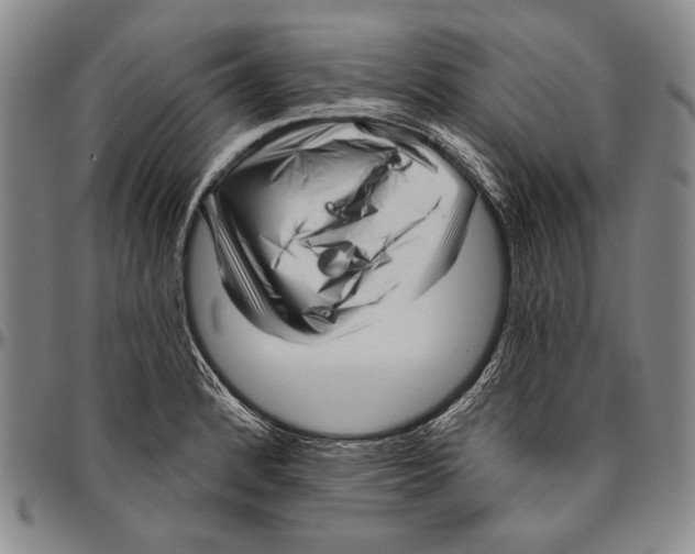 X0000096471184200802211143