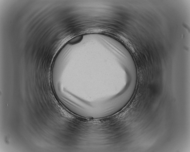 X0000096471186200802211143