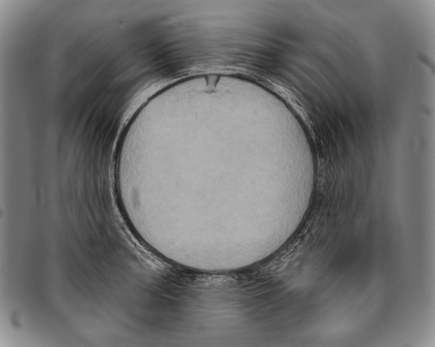 X0000096471187200802211143