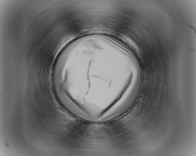 X0000096471190200802211142